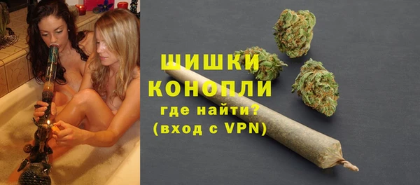 спиды Богородск