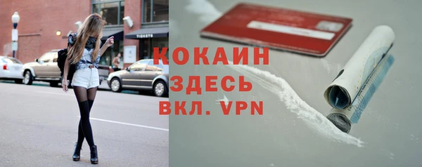 бошки Белокуриха