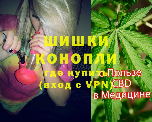 бошки Белокуриха