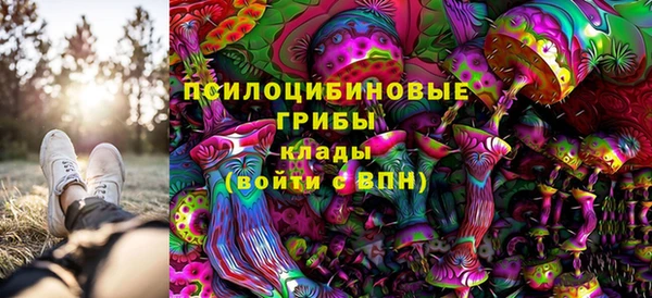 СК Балахна