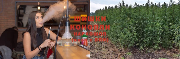 мдпв Богородицк