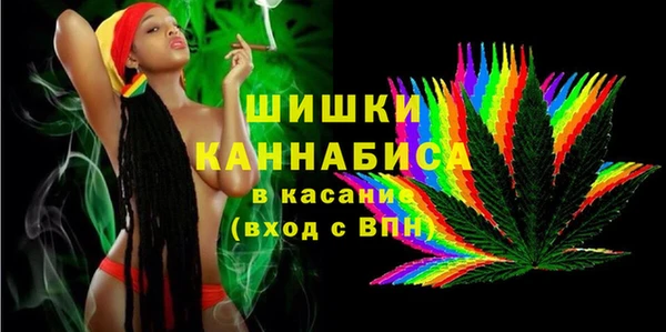 спиды Богородск