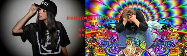 мяу мяу кристалл Богданович