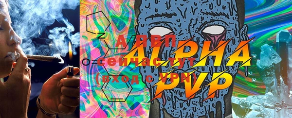мяу мяу кристалл Богданович